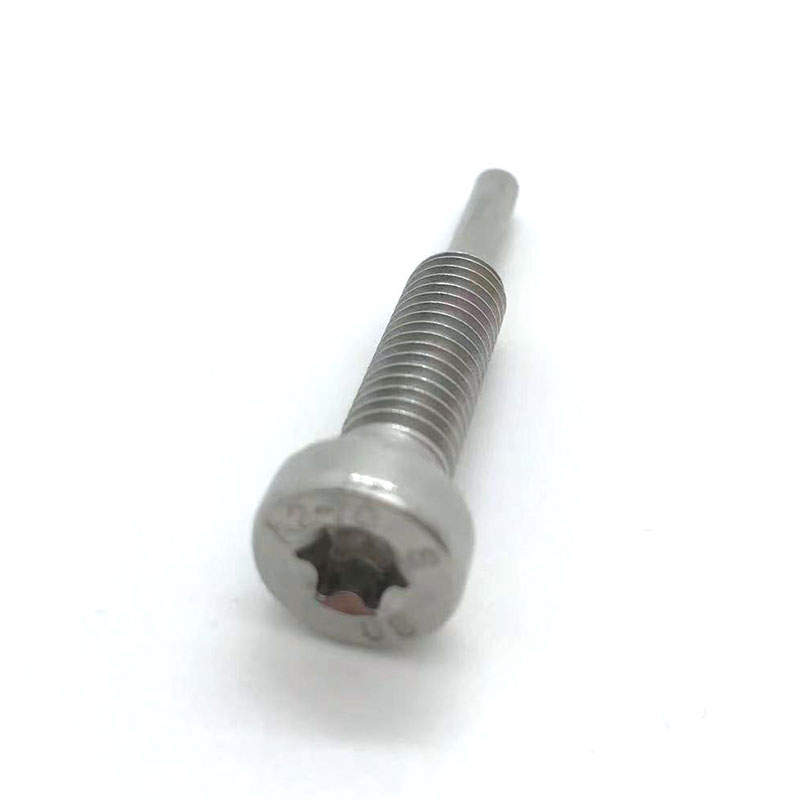 Tornillo de cabeza hexagonal Torx con punta de perro larga